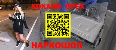 крисы Новодвинск