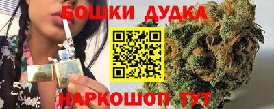 крисы Новодвинск