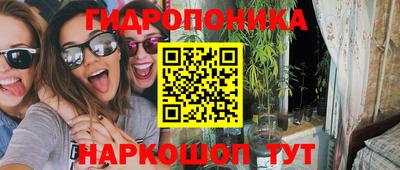 крисы Новодвинск