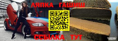 крисы Новодвинск