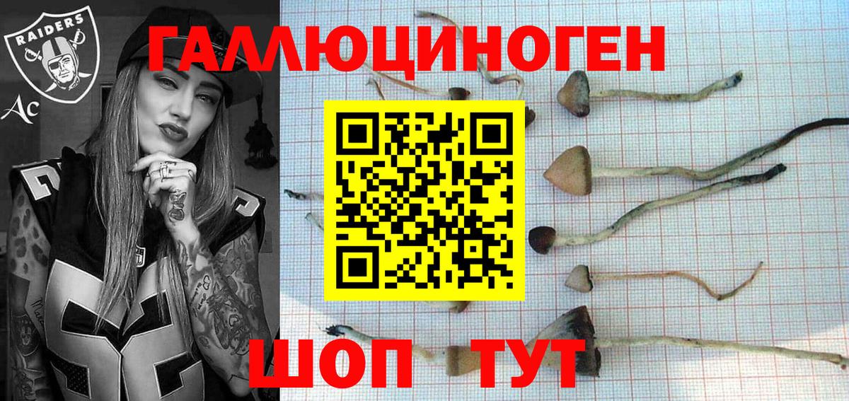 Псилоцибиновые грибы мухоморы  Вход с VPN  Ставрополь 