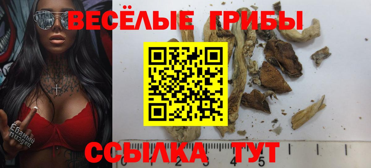 Псилоцибиновые грибы ЛСД Ставрополь